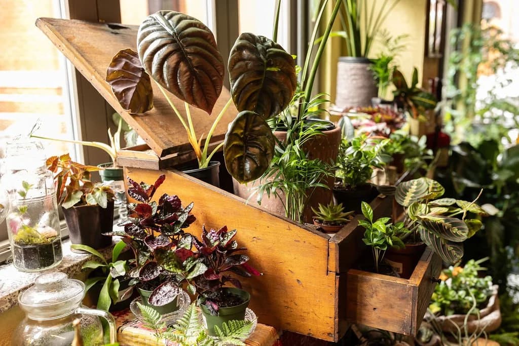 Hearth Food Garden, the Lush Life antique display