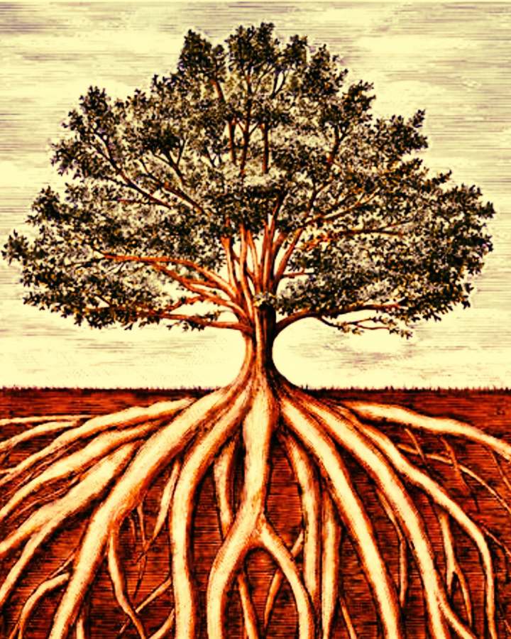 Struggling Enterprises Don't Need a New Strategy. They Need a Rooted Leader.