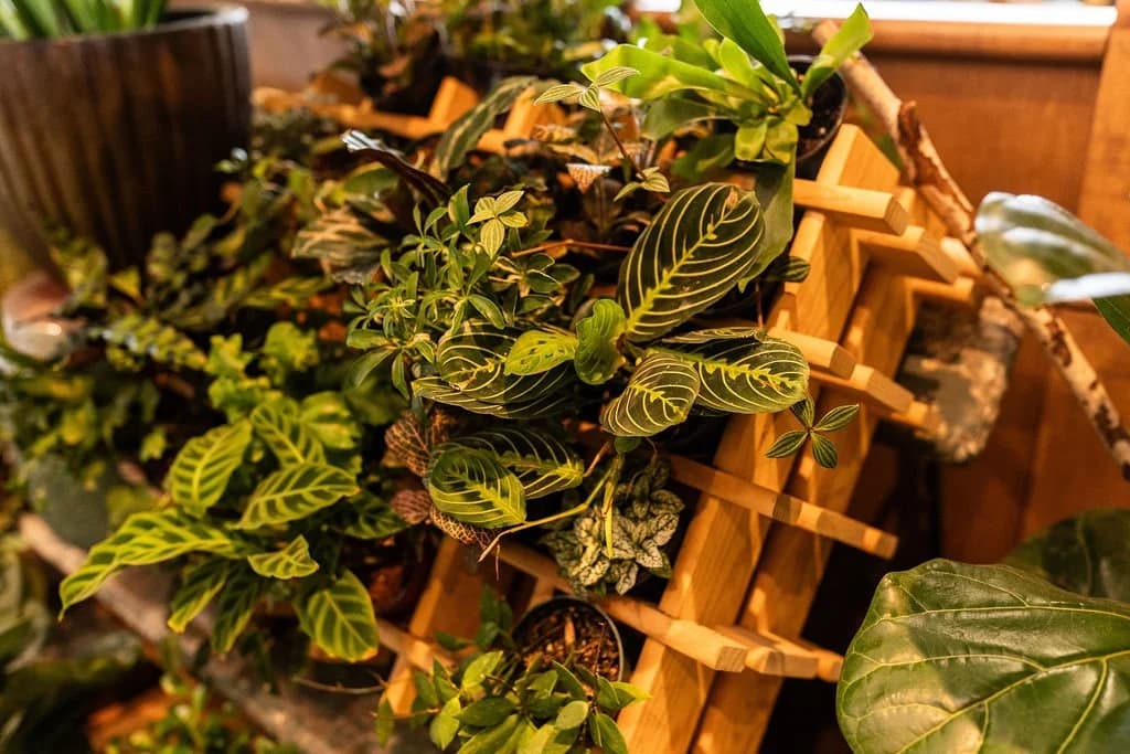 Hearth Food Garden, the Lush Life grid display